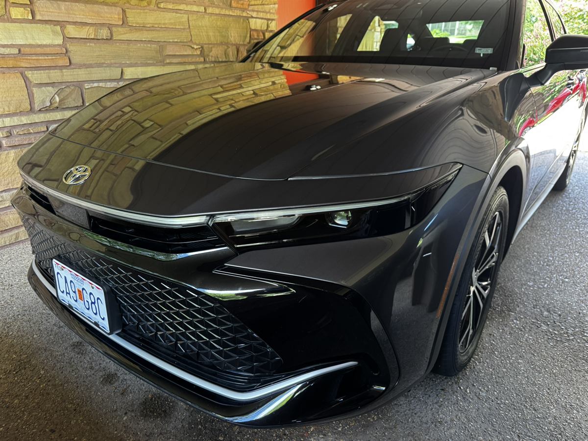 Gloss black hood and grille after an exterior detail